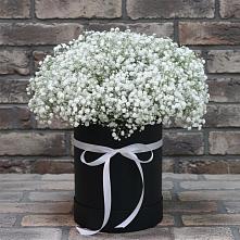 Цветочная композиция из Гипсофила в шляпной коробке в Нарткале
