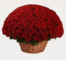 Премиум букет из: Розы в Нарткале